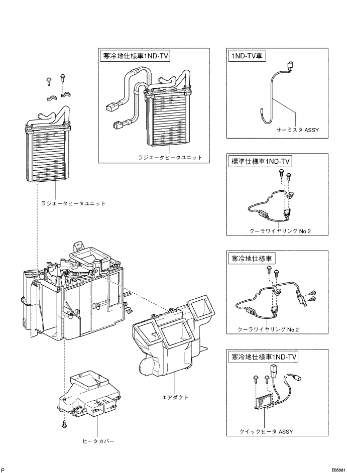 E065081